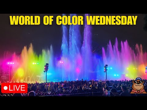 Live webcam of Koda Bear the Explorer 