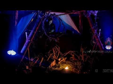 Sortna Studio Viewer Request: Percussion