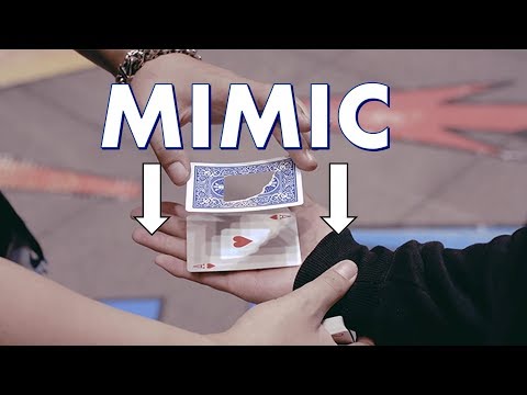 Magic Review - Mimic by SansMinds Creative Lab