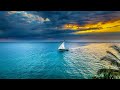 Paul Hardcastle Signs Of Life Still Searching