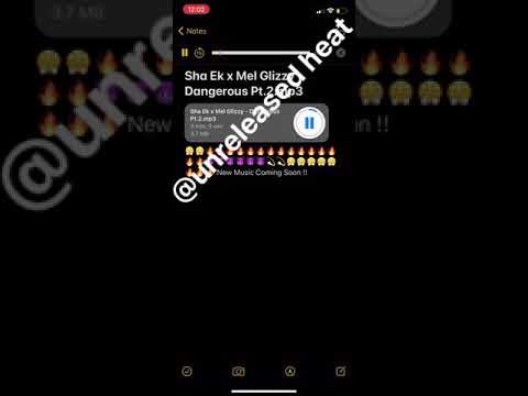 Sha EK x Mel Glizzy (Dangerous) official audio official unreleased heat