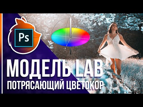 Курс Фотошоп с Нуля 1 Создание документа Основы интерфейса Навигация
