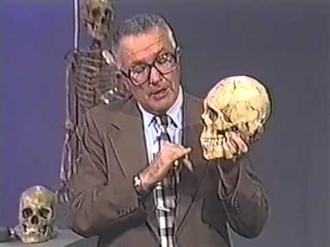 Bill Bass Race and Stature