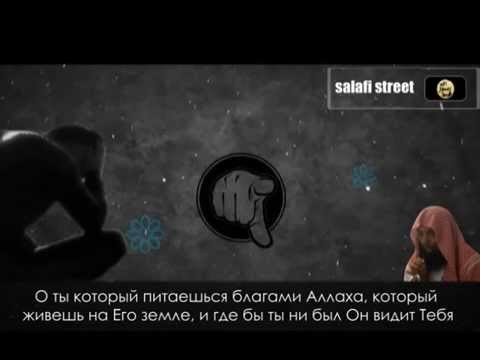 Sali7h’s Video 123554484468 g3rxWS_1BeM