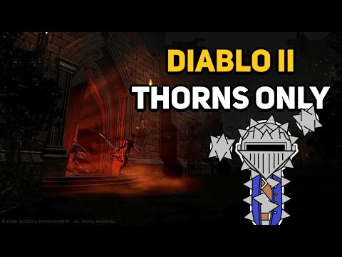 Can You Beat DIABLO 2 With Only Thorns?