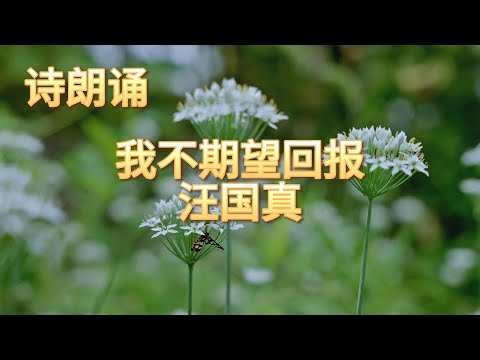 无私的爱：汪国真诗歌朗诵《我不期望回报》#无私#纯粹的爱#中文诗歌#经典诗词#文学#无私奉献#感悟生命