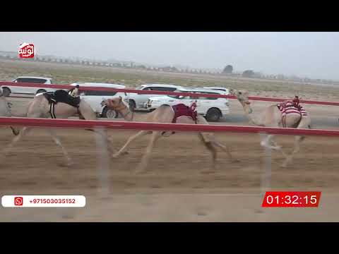  ش 5 (الشاهينيه) لـ محمد مبارك بن فريوه المنصوري 2:59 ، شارة صندوق الحلفه 2026/08/17 فطامين سويحان