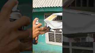 Download lagu headlamp sigra pasang alis #shortvideo #sigra #lampucustom mp3