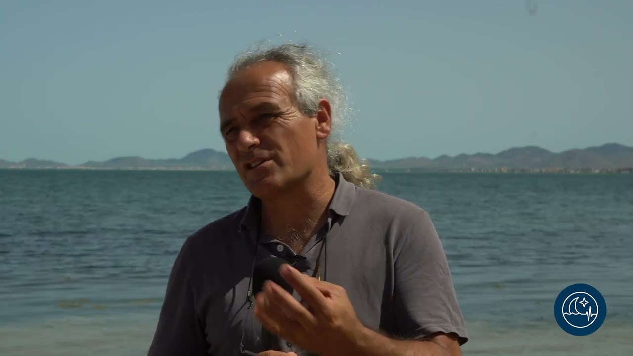 ¿Qué está ocurriendo en el mar menor?