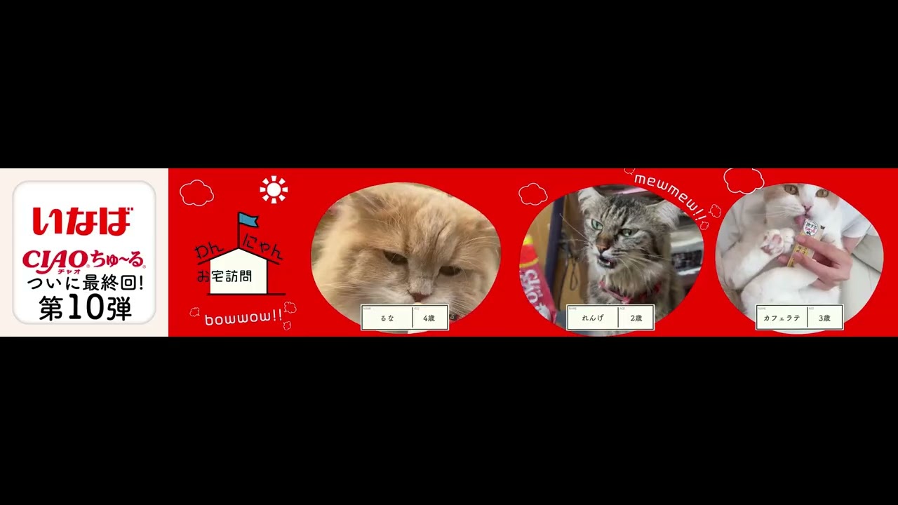 わんにゃんお宅訪問withちゅ～る 第10弾 Part3