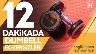 Gerçek yaşamın survivorları Gerçek yaşamın survivorları