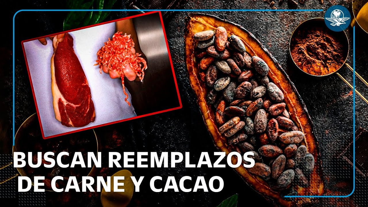 Alternativas sostenibles ante la futura escasez de cacao o carne