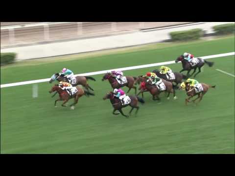 The Magic Man's Day Joao Moreira Wins 4/8 Race at Hong Kong Racecourse