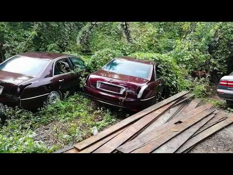 Roncsok 1. Lanciák a természet kezében