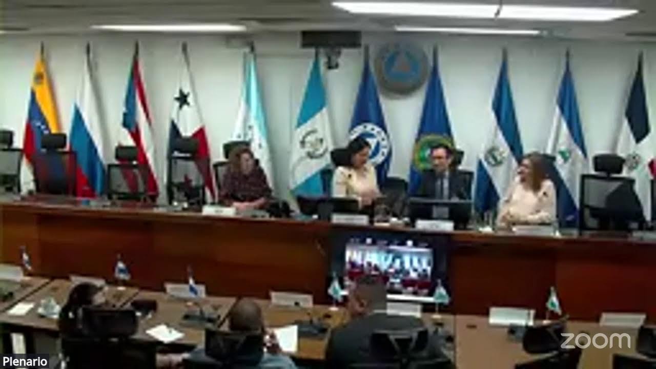 Taller "Plataformas Centroamericanas del Comercio"