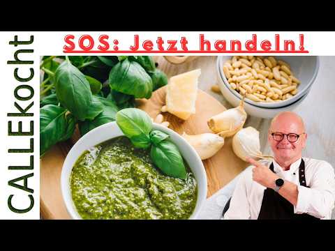 Pesto selbermachen: Basilikum 🌿💚 vom Balkon retten leicht gemacht