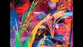 Guantanamo baywatch-Titz & Twatz