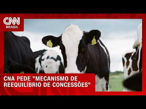 UE passa barrar produtos de origem animal do Brasil; entenda | CNN AGRO NEWS