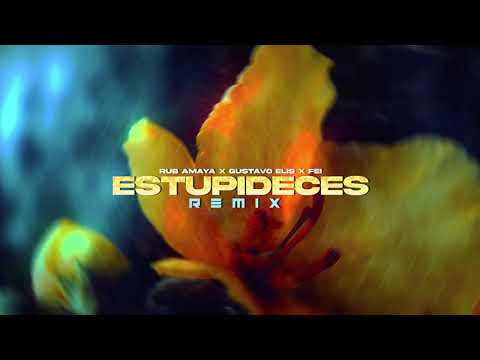 Estupideces (Remix) | Rub Amaya, Gustavo Elis & Fei