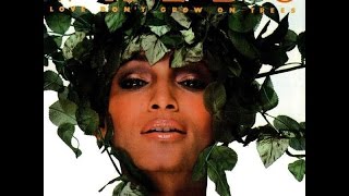 FUNK - WALDO - Love I Feel Inside - 1982 .