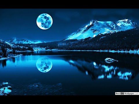 ZAMERATI - VÉR ÉS HOMOK