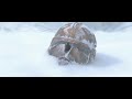 Star Wars The Clone Wars - (Sabaton: The End Of The War To End All Wars)