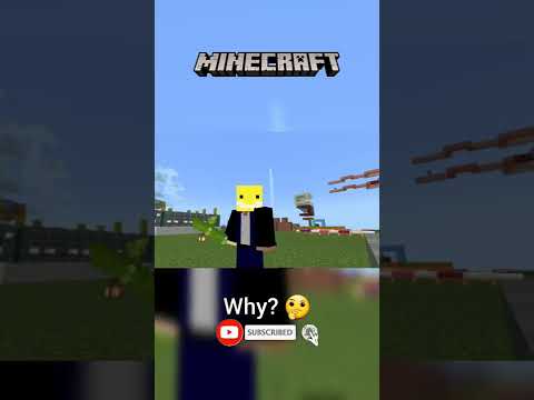 Graphomid - Minecraft Animation | The Sun is a DEADLY LASER 😂 #shorts #mimecraft #meme