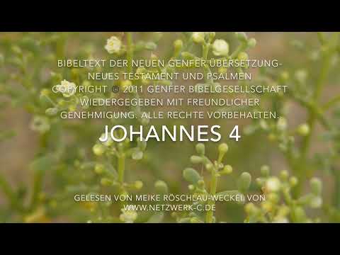 Johannes 4 (NGÜ)