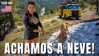 ACAMPANDO DE KOMBI NAS FLORESTAS DO COLORADO | T3 EP. 205