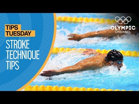 How To Improve Your Swimming Stroke Technique | Olympians' Tips