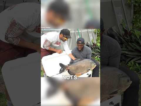 They Found a 30-Pound Fish Monster in a College Pond 🦈😱