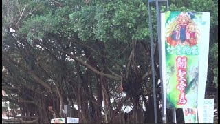 竹東魏家 關聖帝君三載圓香繞境竹東  17時半起市場夕街景原音過程- ①  0908 2024