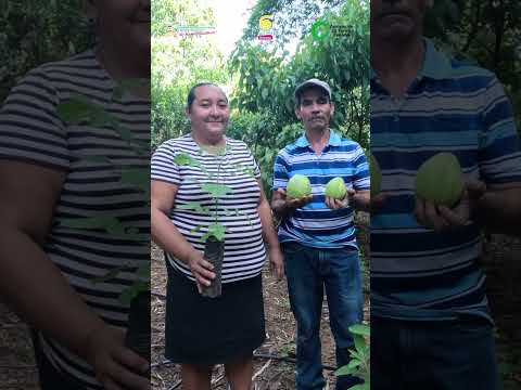 Historia de la familia Soriano García, protagonistas de San Pedro del Norte, Chinandega.