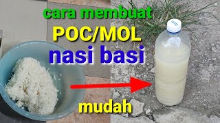 Cara membuat pupuk organik cair dari nasi basi/membuat MOL nasi basi sendiri
