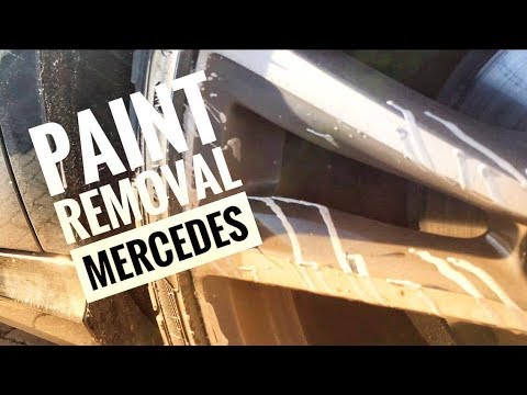 ValetNova Paint Splatter Removal - Mercedes B-Class