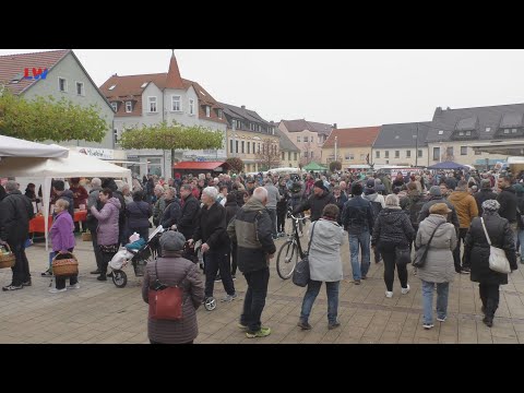 Elsterwerda: 16. Suppenmeile - LAUSITZWELLE