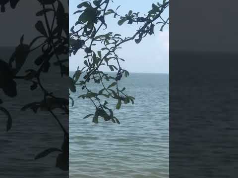 Entebbe beach #travel #nature