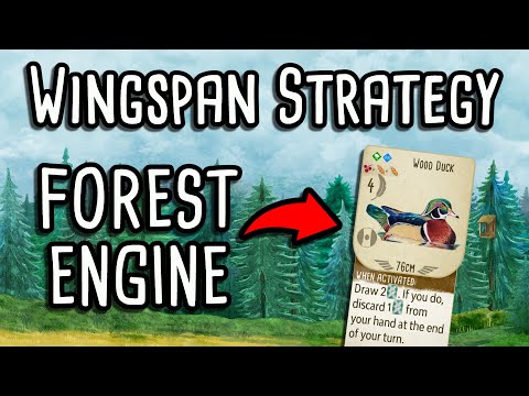 Wingspan Strategy | How to build a strong forest engine!