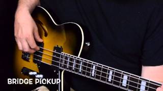 Video thumbnail for The Reverend Dub King at MaurysMusic.com by Maury's Music