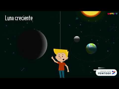 Copy of Fases de la luna