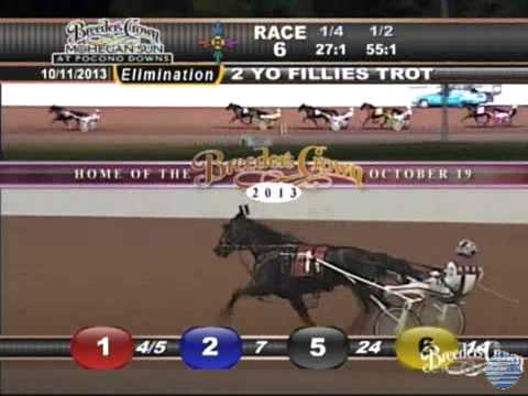 Cooler Schooner - 2013 Breeders Crown elimination - Two-Year-Old Filly Trot