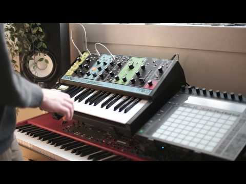 Exploring the Moog Grandmother on a rainy day