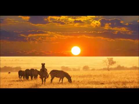 DjThakzin   Day 1 Original Mix eFQYmpuK6ik youtube