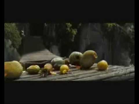 Ting Tings/POTC Mashup - Shut up, He's a pirate!