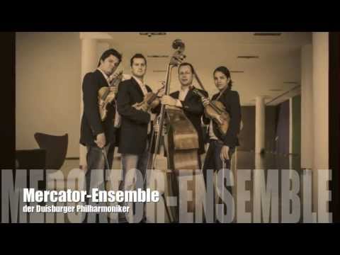 TICO TICO Mercator-Ensemble