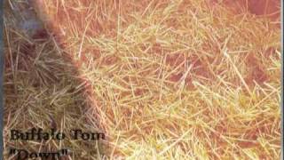 Buffalo Tom - Down...unofficial video