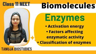 Biomolecules - Enzymes | Lock & Key method | Factors affecting enzymatic activity | Class 11/NEET