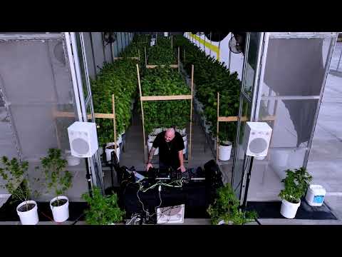 Carlo Lio - Magflow Sessions at Vida Afortunada