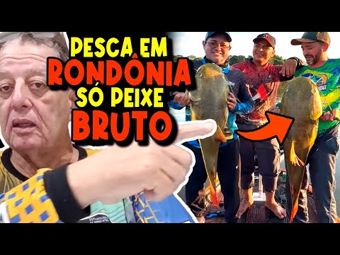 RIOS DE RONDÔNIA! PESCA DE GIGANTES! #cacoal #rondônia #rios #amazonas #pesca  OLHA O SORTEIO🕴️👀➕