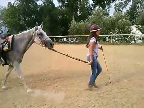 Nicoletta che va a cavallo.....la mia bambina.